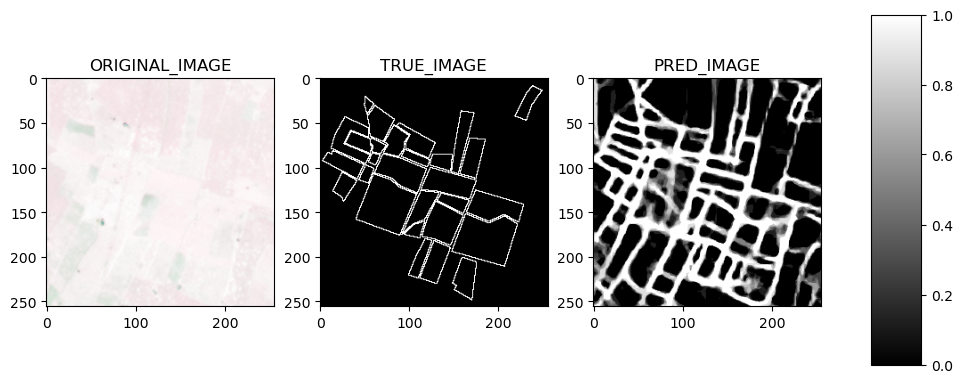 image info