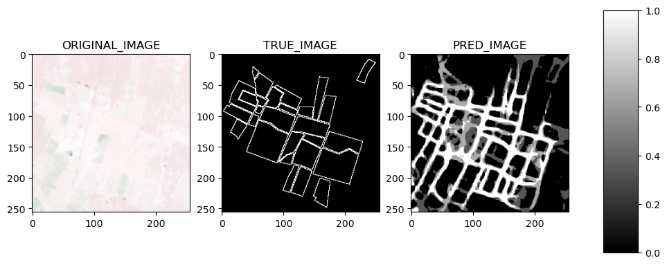 image info